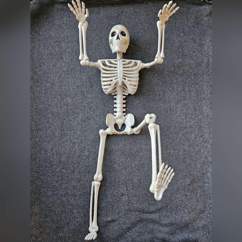 New 24 inches Tall Full Body Posable Skeleton. Halloween, home decor